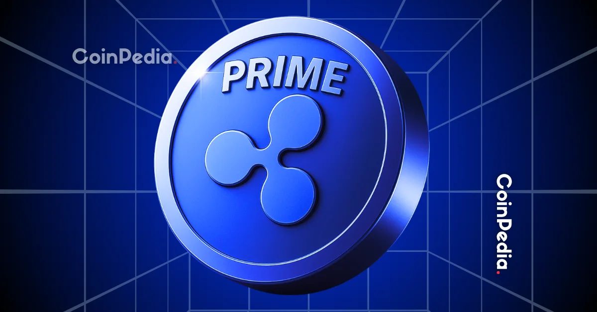Ripple Partners with Leveraged ETF Providers via Swap Financing