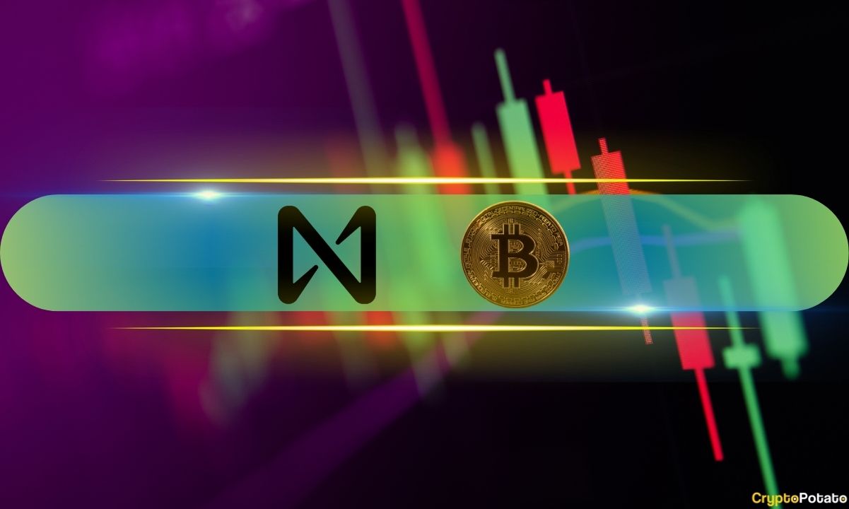 NEAR Rockets 10% Daily, BTC Eyes $83K: Weekend Watch