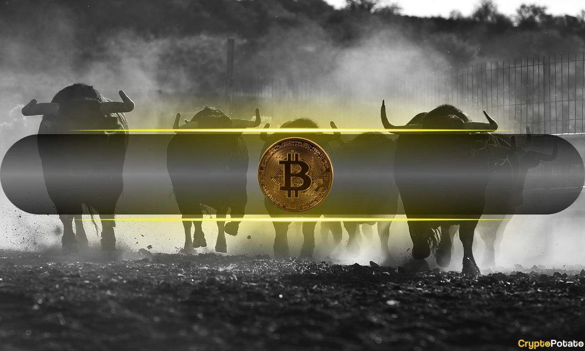 CryptoQuant: Bitcoin Analysts Bullish as 2023 Rally Begins