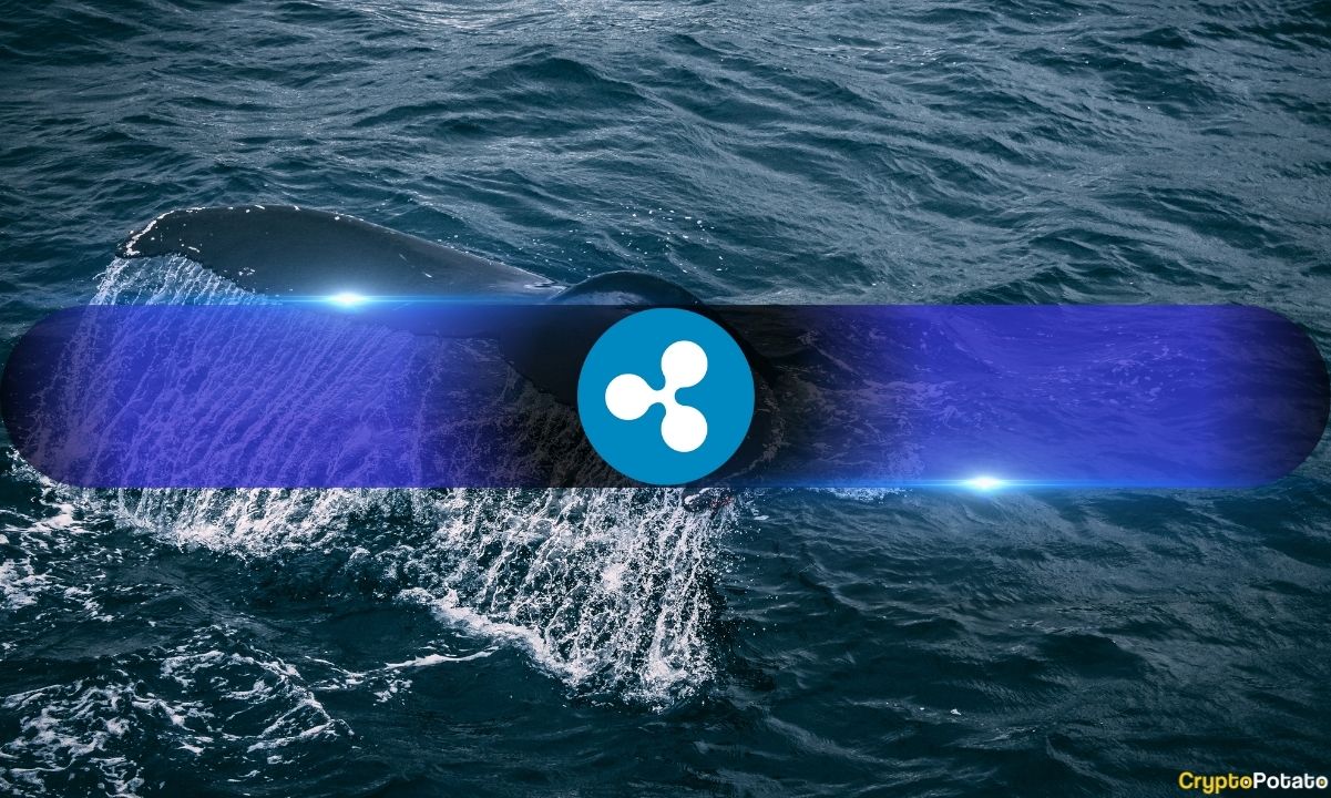 XRP Whales Hold Record 68.5% Supply