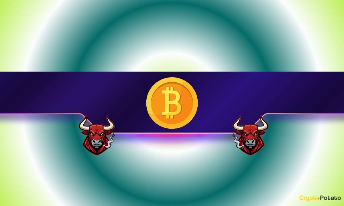 Bitcoin Signals Major Strength, Price Rally Expected
